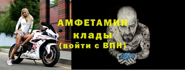 прущие грибы Инсар