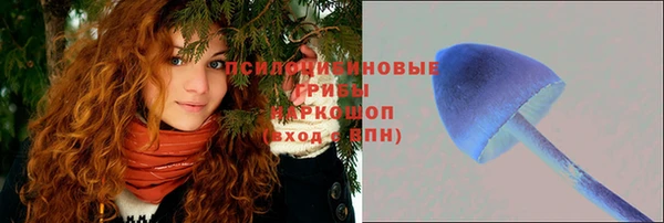 амф Инта