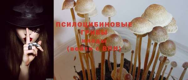 спиды Иннополис