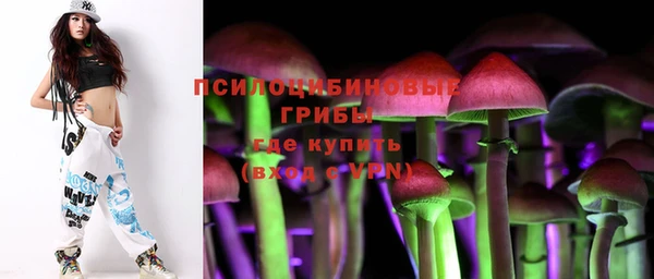 прущие грибы Инсар