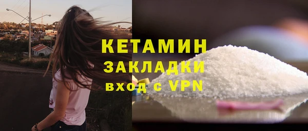 прущие грибы Инсар