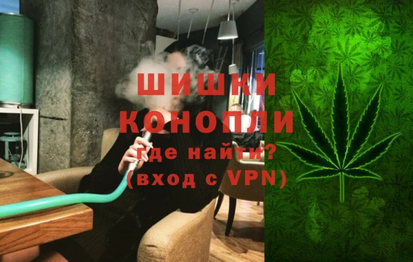 прущие грибы Инсар