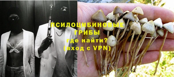 амф Инта