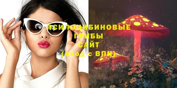 амф Инта