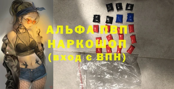 прущие грибы Инсар