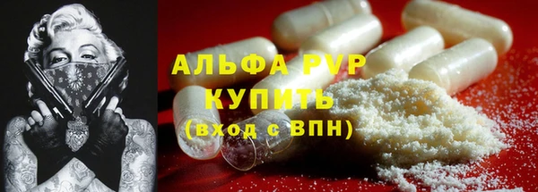 прущие грибы Инсар